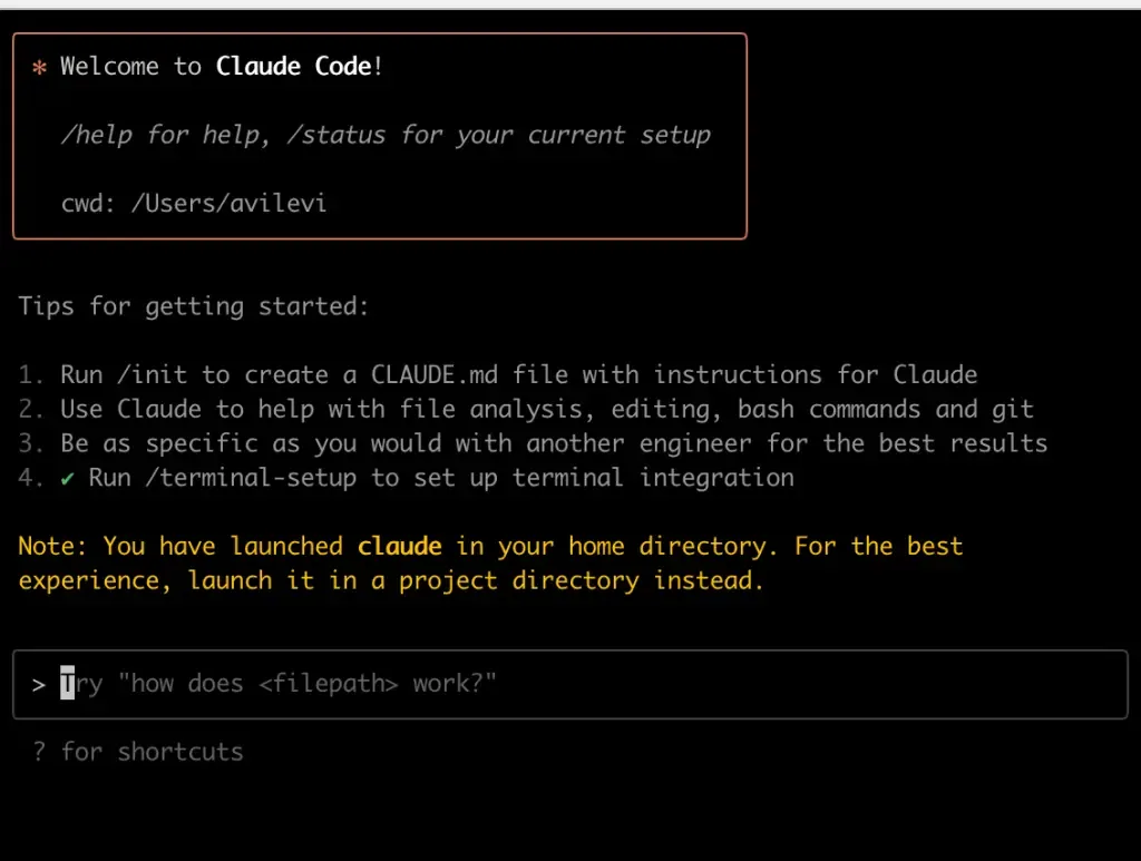 claude code terminal interface